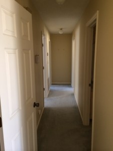 The hallway