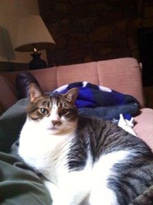 Toby and me on the sofa. 