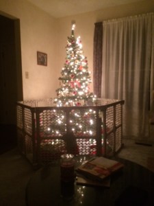 2014 Christmas tree complete with cat guard fence.