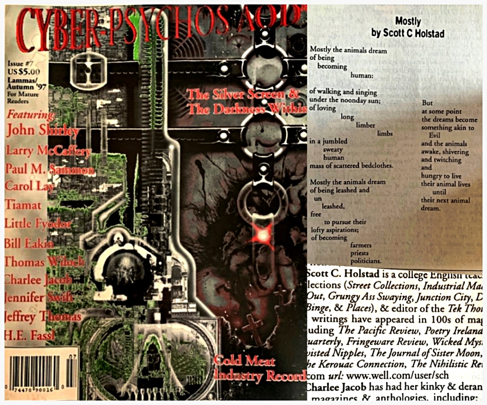 CyberPsychos AOD vol. 7 1997